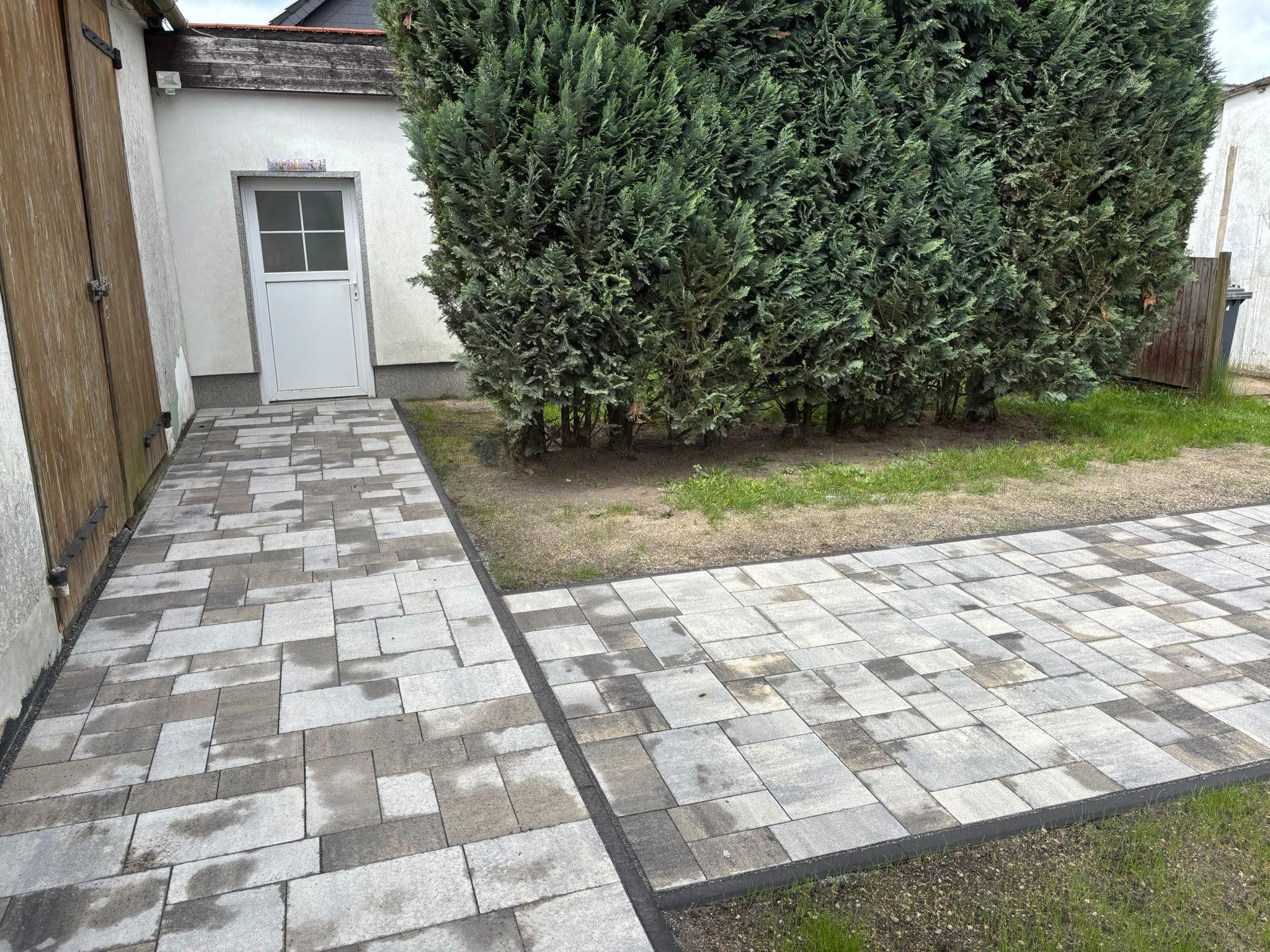 Frisch gepflasterter Hofweg in Grautönen entlang einer Thujahecke